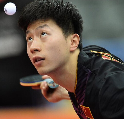 归化球员退 归化球员退