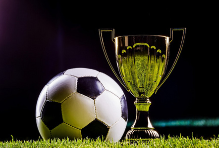 他们在联赛 他们在联赛