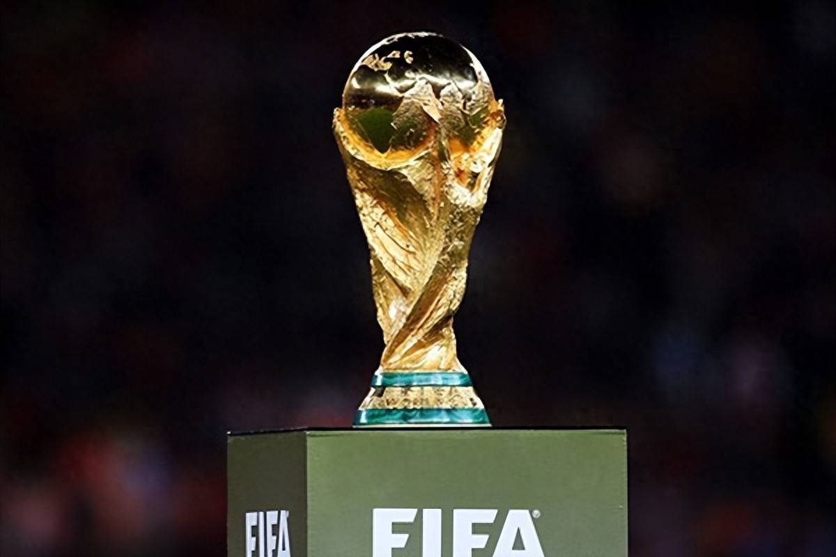 进行了细致 进行了细致