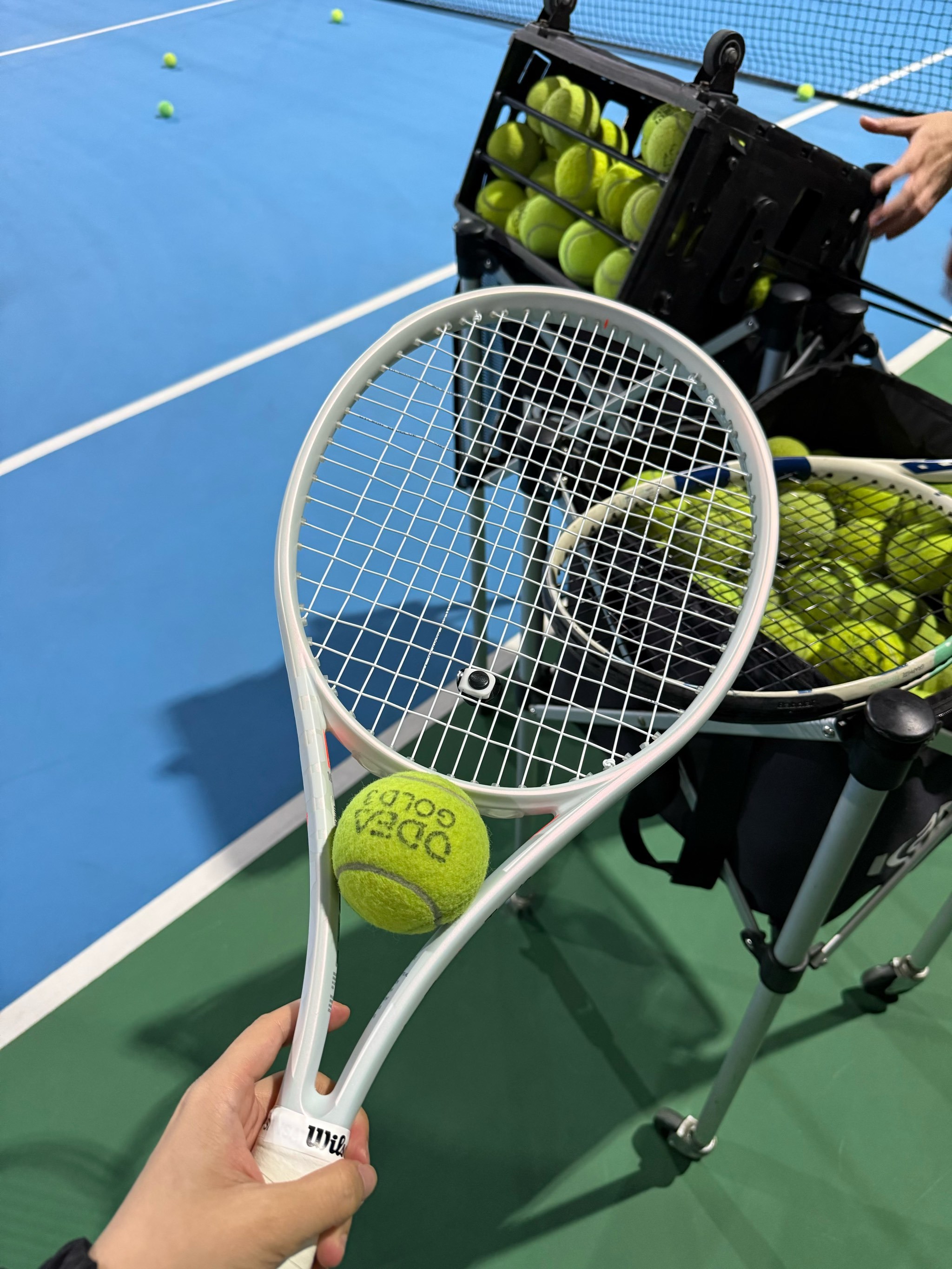 现场观众的 现场观众的