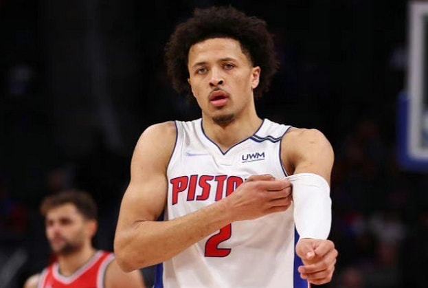 本规模与位 本规模与位